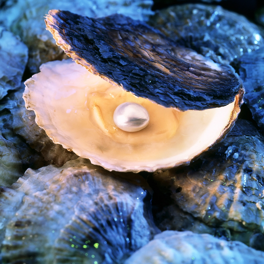 Pearl inside of clam